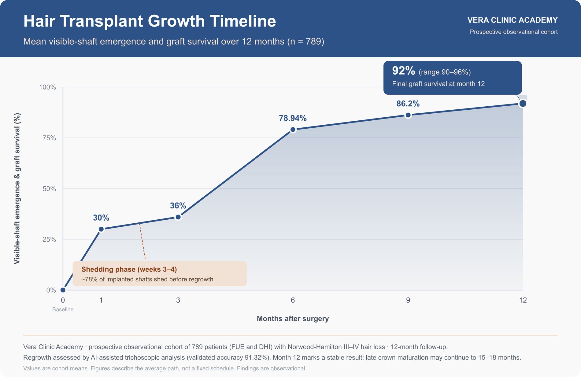 hair transplant hair growth timeline from day 1 to 1 year