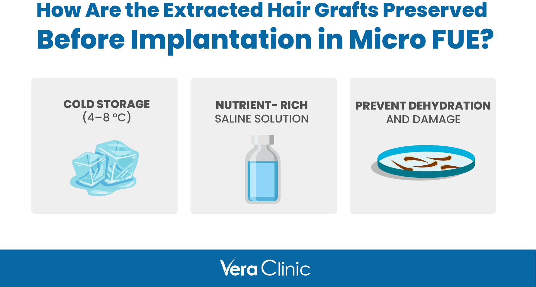 Before Implant Micro FUE How Are the Extracted Hair Grafts Preserved Before Implantation in Micro FUE