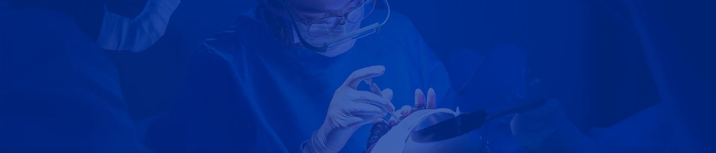 Micro FUE Hair Transplant in Turkey, Istanbul